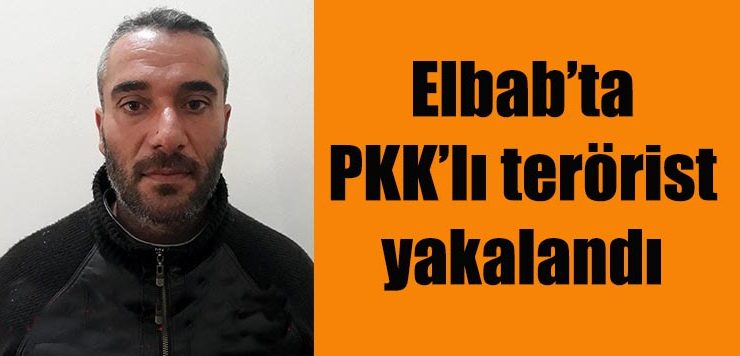 Elbab’ta PKK’lı terörist yakalandı
