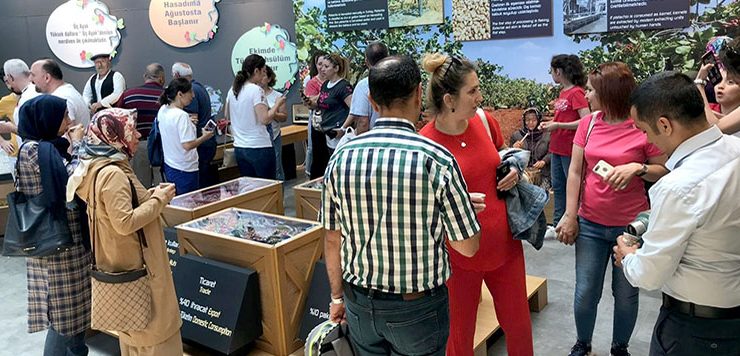 Gaziantep müzelerini 1 milyon turist gezdi