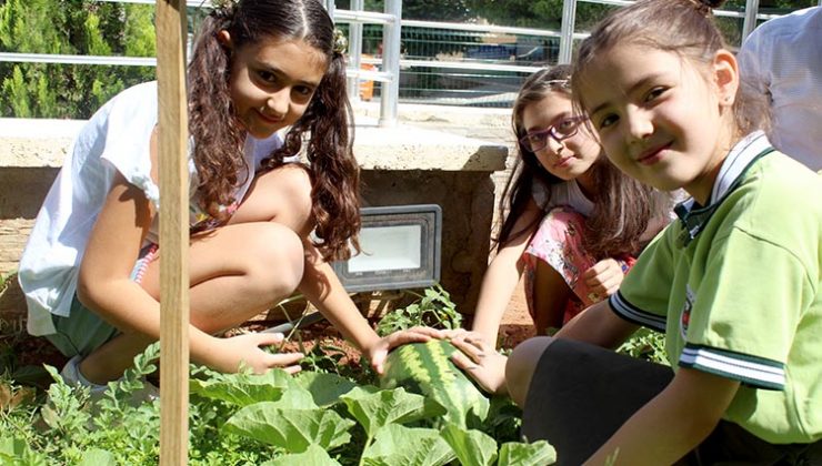 Okul bahçesinde organik sebze ve meyve üretiyorlar