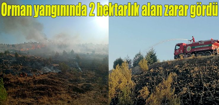 Orman yangınında 2 hektarlık alan zarar gördü