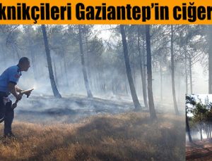 Pazar piknikçileri Gaziantep’in ciğerini yaktı