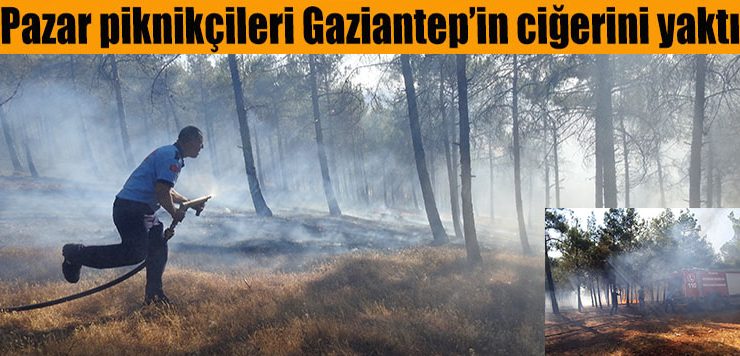 Pazar piknikçileri Gaziantep’in ciğerini yaktı