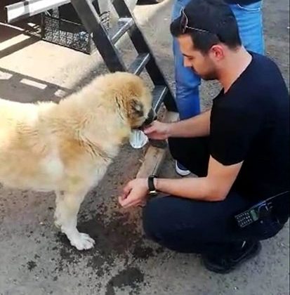 Susayan köpeğin imdadına polisler koştu